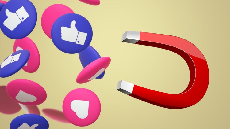 Facebook Penny Likes By Mohsin Abbas