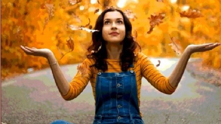 Photoshop for Beginners Mastering the Basics By ZK Tutorials