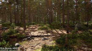 RB RealBiomes Scots Pine Forest Biome 1