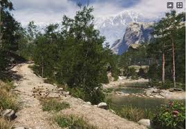 Unity Asset 2023 Mega Collection