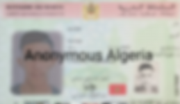 image (5).png