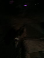 IMG_20250702_225623_184.jpg