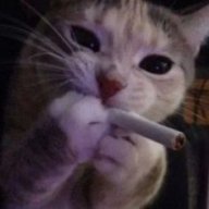 bowlze