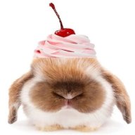 pandaplushie