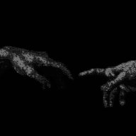 nox8