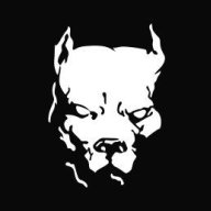 pitbull81