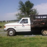 ddarell450