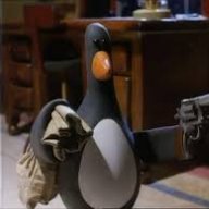 penguin420