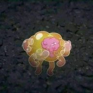 Rabbiits