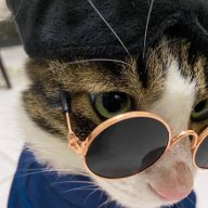 burgerpirate