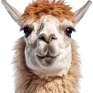 Lhama