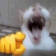 ggggggdedsscggd