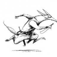 tapiporlas