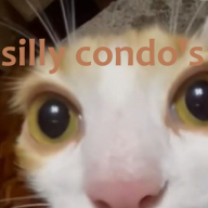 CatInTheD3rkNet