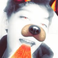CBear7779