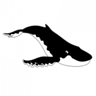 hnrcd5up