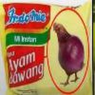 bisongkok