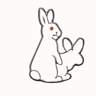 thewhiterabbits