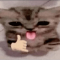 intrudx