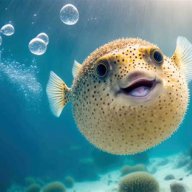 poppyfish