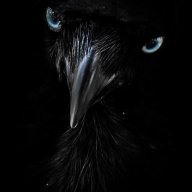kingraven