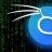 kalilinux1